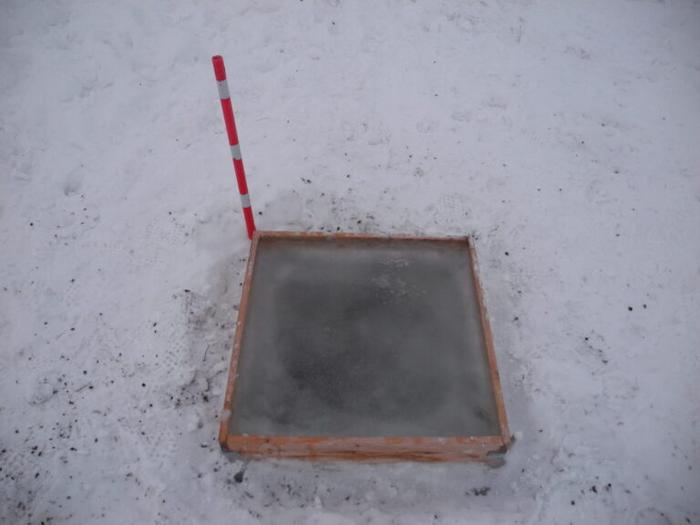 Frozen plot