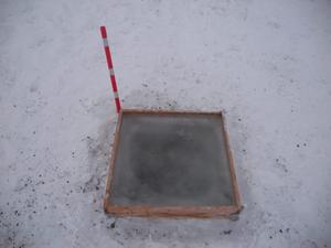 Frozen plot