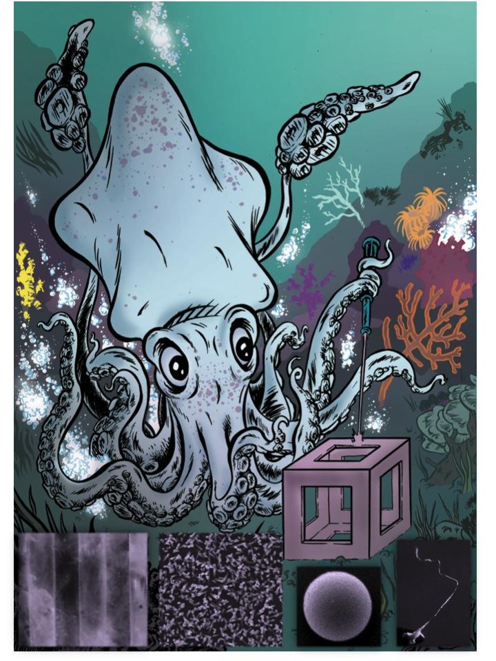 Squid
