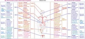 The characteristics of intra-tumoral microbiota in human different cancers.