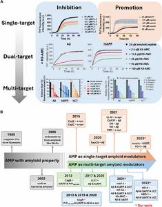 Figure 3. Historical timeline of AMPs exhibiting amyloid-like properties or modulatory activity against amyloidogenic peptides.