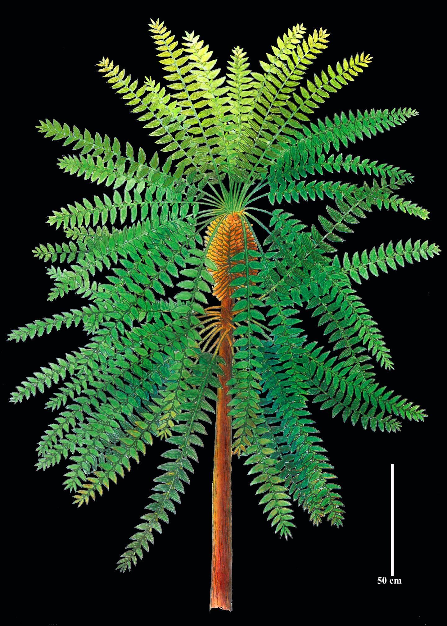 Reconstruction