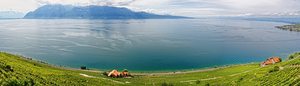 Lake Geneva