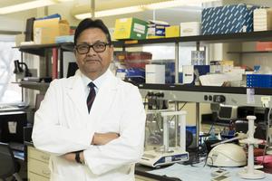 Subhash Pandey, Director, University of Illinois Chicago's Center for Alcohol Research in Epigenetics