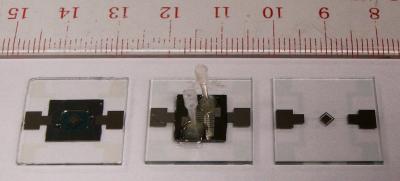 Microchip