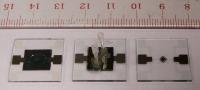 Microchip