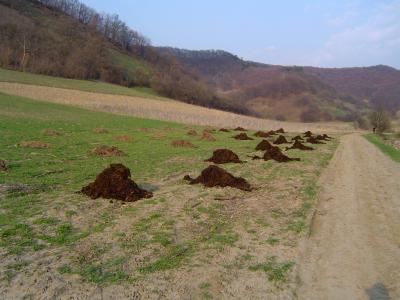 Fertilizer