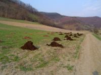 Fertilizer
