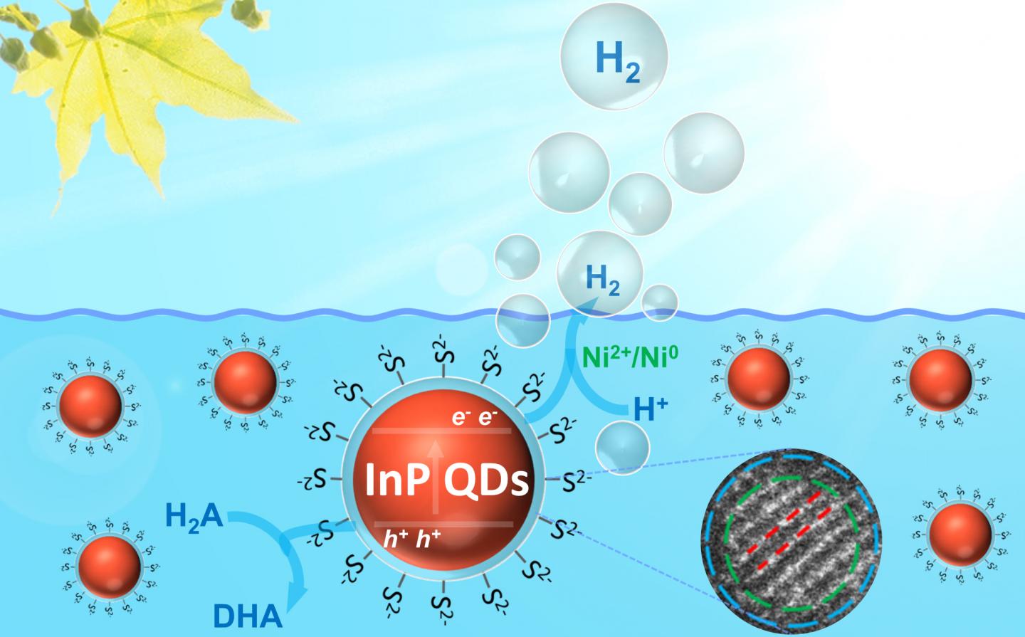 Artificial Photosynthesis