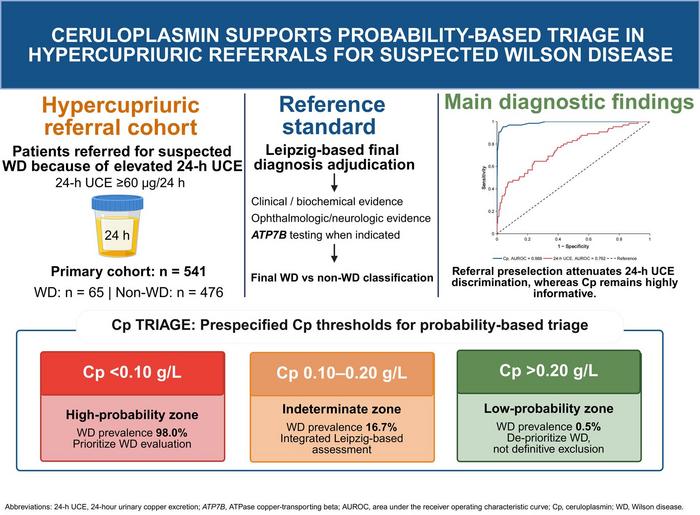Referral-spectrum Effect in Hypercupriuric Referrals for Suspected Wilson Disease: Diagnostic Implications for Ceruloplasmin and 24-hour Urinary Copper Excretion