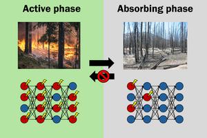 Similarity between a wildfire and activity of digital “neurons” in deep neural networks