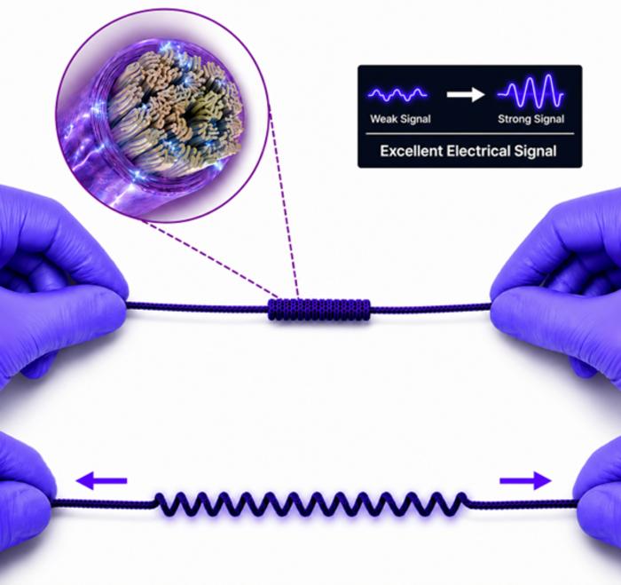 KAIST Develops Next-Generation Self-Powered Wearable Sensor Resilient to 668% Elongation
