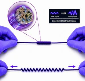 KAIST Develops Next-Generation Self-Powered Wearable Sensor Resilient to 668% Elongation