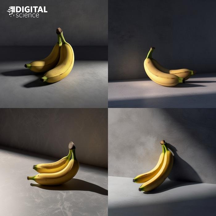 Two bananas in every image