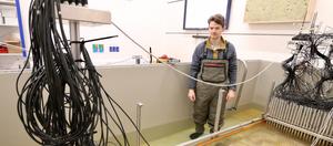 Modeling the Sleipner field carbon undersea storage site