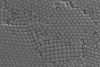Nanoparticles