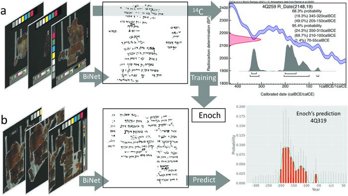 Dating ancient manuscripts using radiocarbon and AI-based writing style analysis