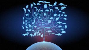Artwork representing a species tree