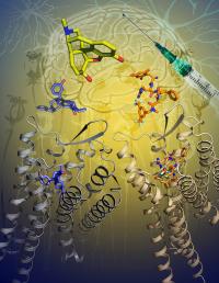 The Illustration Shows the Two New Crystal Structures