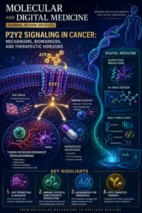 SCHEMATIC OVERVIEW OF P2Y2 SIGNALING IN CANCER, INCLUDING MOLECULAR MECHANISMS, TUMOR MICROENVIRONMENT REPROGRAMMING, IMMUNE EVASION, THERAPEUTIC RESISTANCE, AND DIGITAL MEDICINE APPROACHES.