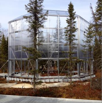 Peatlands Experiment Begins in Minnesota