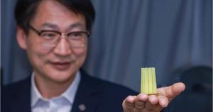 PolyU research unveils mechanoelectrical perception in sea urchin spines, empowering next-generation biomimetic sensors