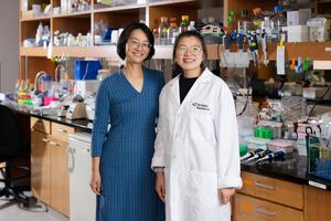 Professor Xiang-Lei Yang and postdoctoral associate Huimin Zhang