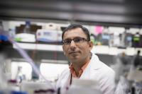 UVA Developing 'Two-Headed Arrow' to Kill Ovarian Cancer