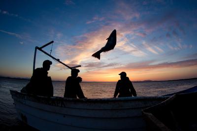 Catch Share
