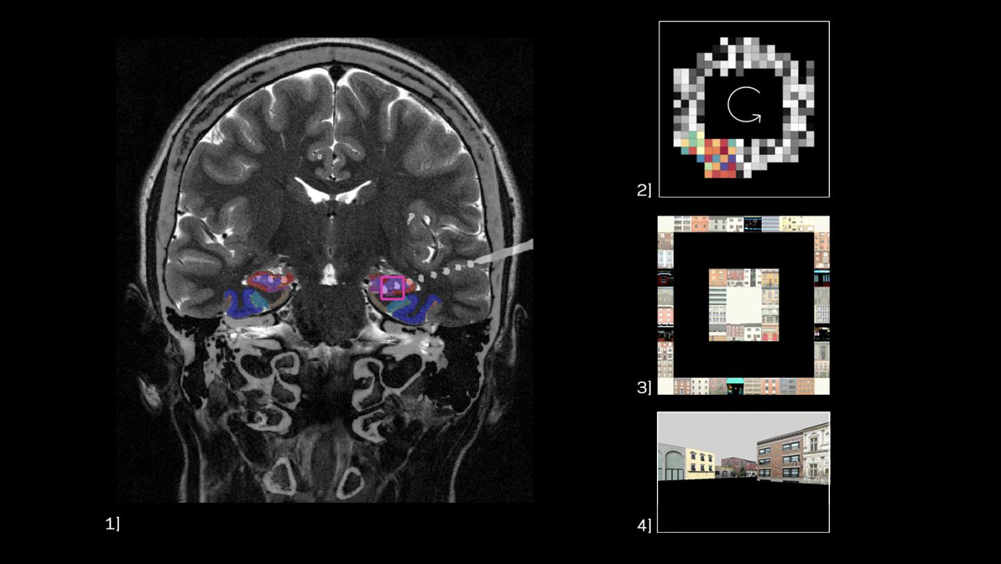 Phase precession in the human hippocampus.