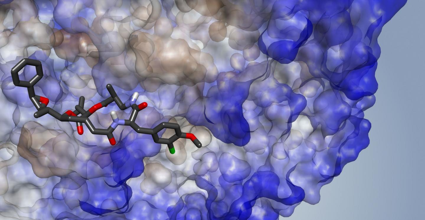 Cryptophycin