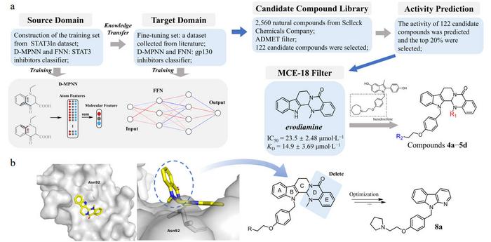 Design strategy and structure optimization of novel gp130-targeting compounds.