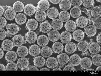 Nanoshells