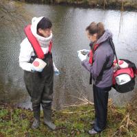 Environmental DNA sampling