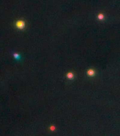 Nanostar Spectra