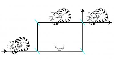 Diagram of Cheshire Cat Experiment