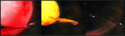 3 Types of Systems May Host Type Ia Supernovae