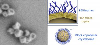 Polymer Crystalsome