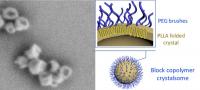 Polymer Crystalsome