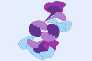 Fanconi anemia core complex