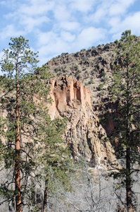 Northern New Mexico Forest