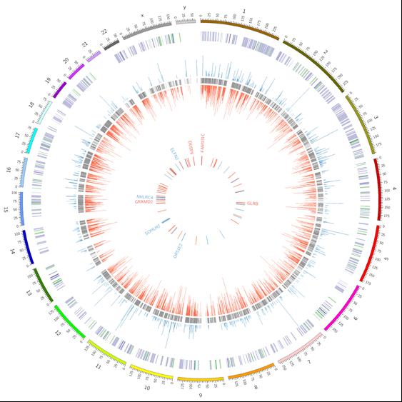 Genetic Basis of Aggressive Prostate Cancer