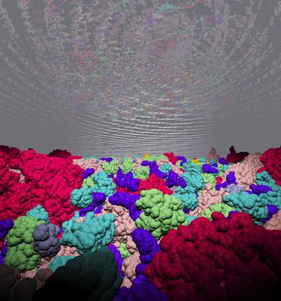 Molecular Simulation