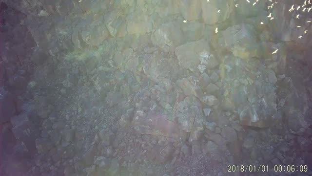 Video from the On-Board Unit