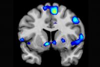 The Spiritual Brain