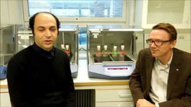 Thermotolerant Yeast Can Provide More Climate-Smart Ethanol
