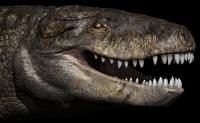 Paleoartistic Restoration of the Head of Razana
