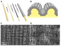 Hierarchically Buckled Sheath-Core Fibers