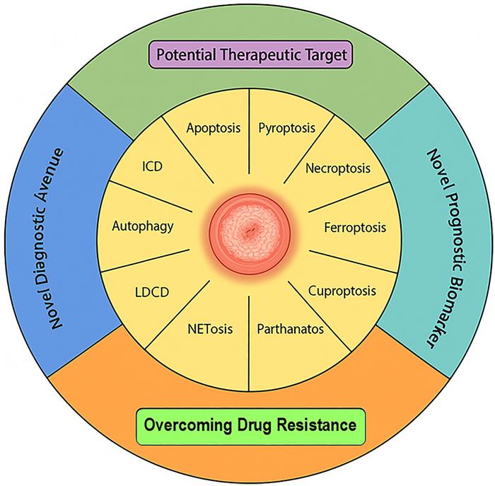 Programmed cell death pathways in cervical cancer: Cross-talk, HPV-mediated regulation, and therapeutic implications: A narrative review