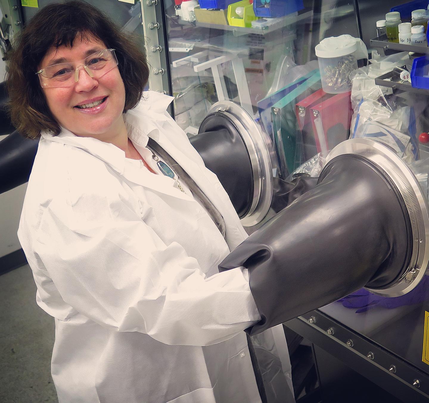 Marca Doeff, Berkeley Lab